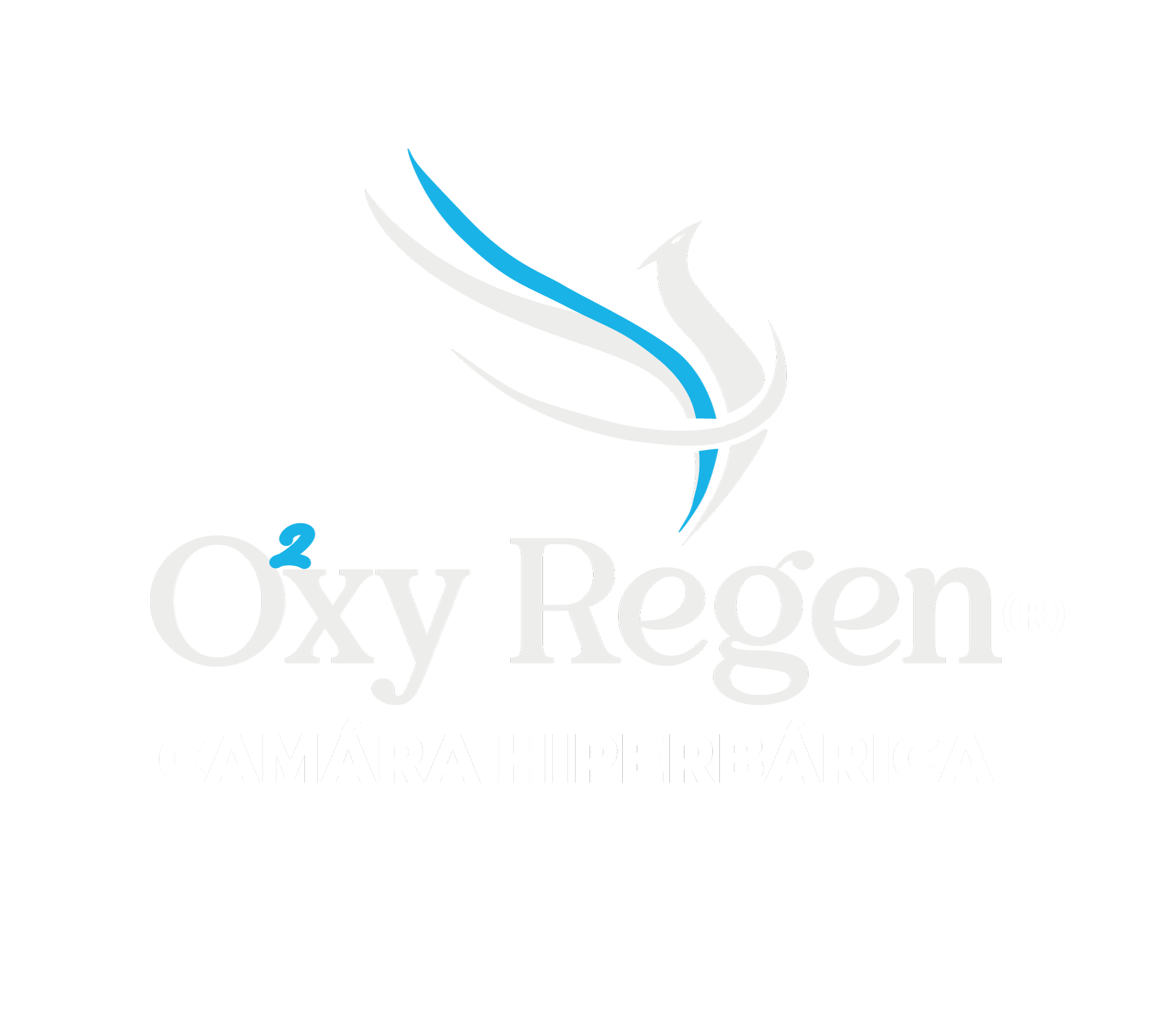 LOGO-OXY-PNG